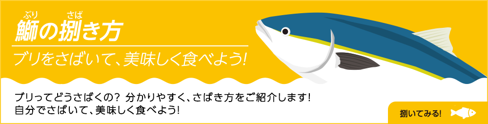 鰤を捌いて美味しく食べよう